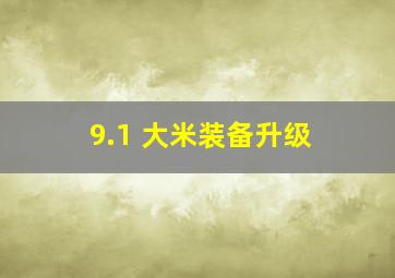 9.1 大米装备升级